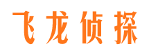 宁津侦探公司